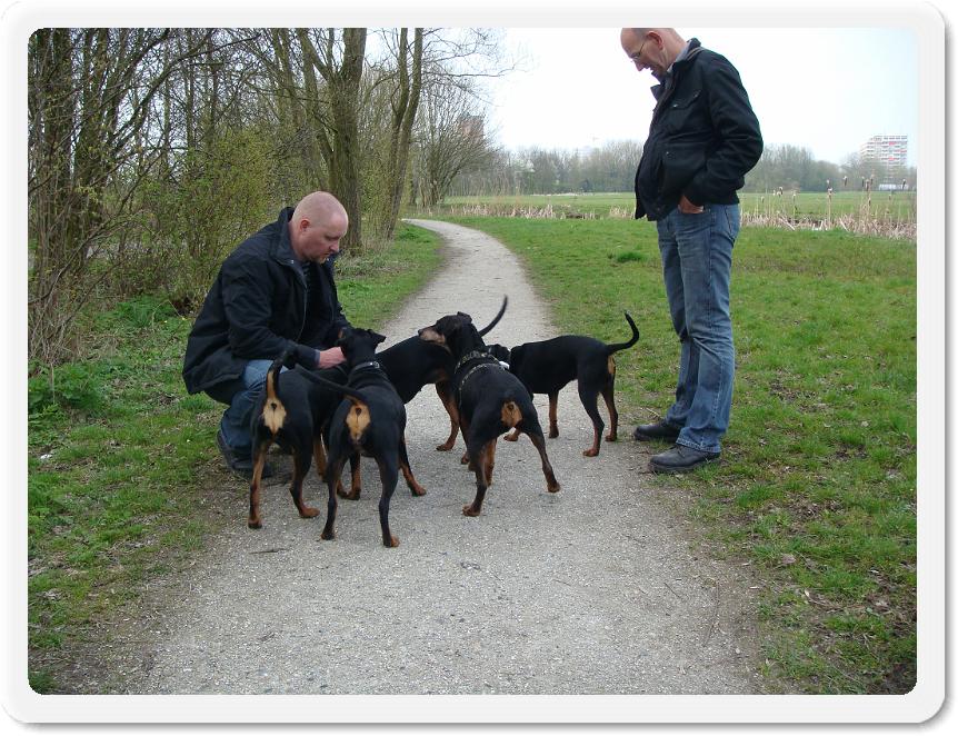 wandelenaprilmet5pinschers 069